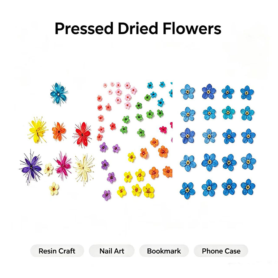 Resin Art Case - 60 pezzi di fiori secchi pressati