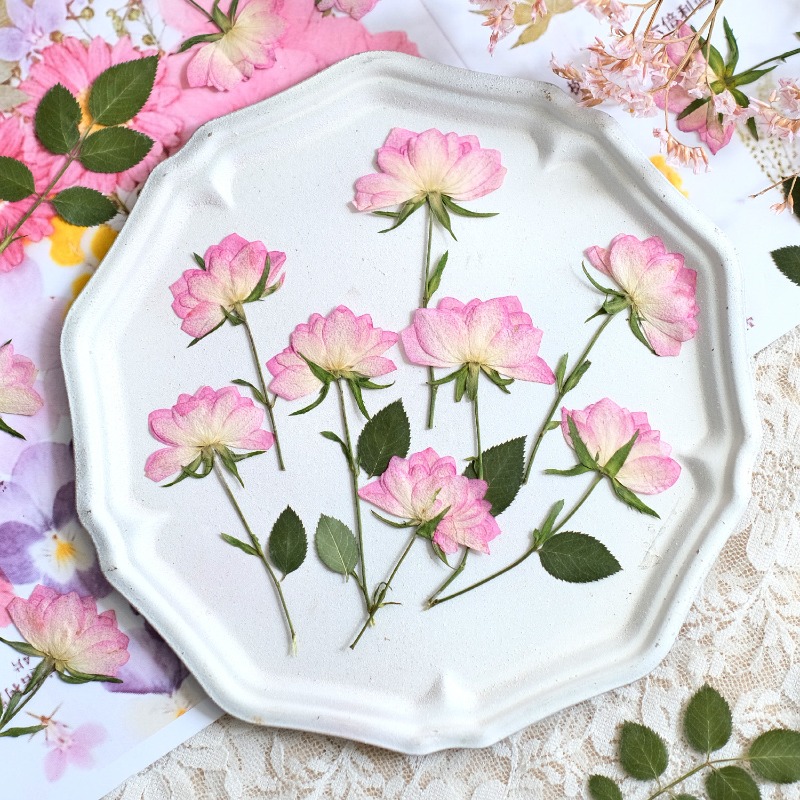 Resin Art Baby - 12 pezzi, Fiori Pressati Essiccati Reali