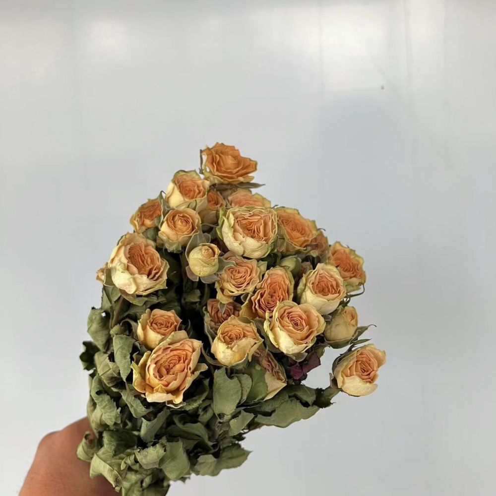 Mazzo di rose naturali stabili - Resin Art Rose recensione e prezzo