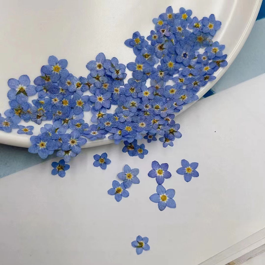 60 pezzi di fiori secchi press - Resin Art Case recensione e prezzo