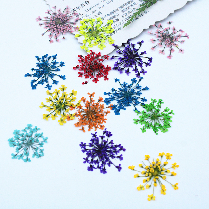 500 Pezzi Fiori di Pizzo, Fior - Resin Art Baby recensione e prezzo